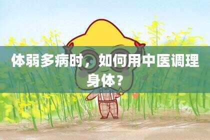 体弱多病时，如何用中医调理身体？