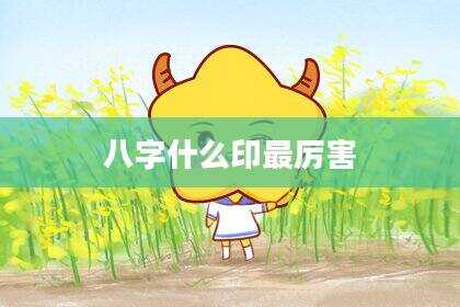 八字什么印最厉害