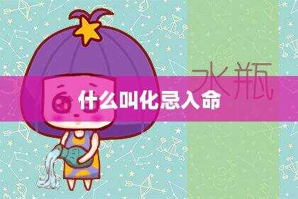 什么叫化忌入命