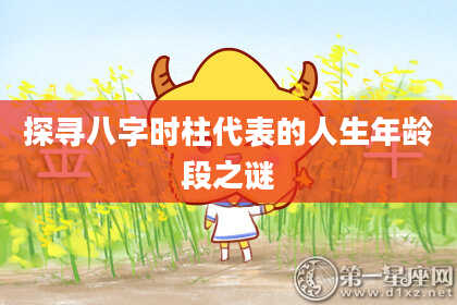 探寻八字时柱代表的人生年龄段之谜