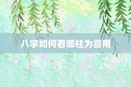 八字如何看哪柱为喜用