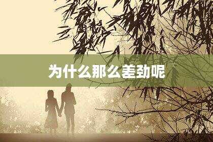 为什么那么差劲呢
