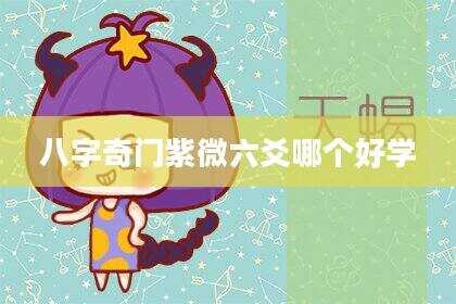 八字奇门紫微六爻哪个好学