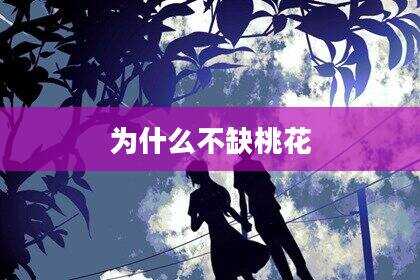 为什么不缺桃花