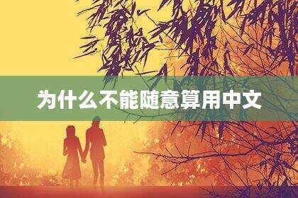 为什么不能随意算用中文