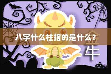 八字什么柱指的是什么？