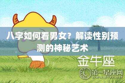 八字如何看男女？解读性别预测的神秘艺术