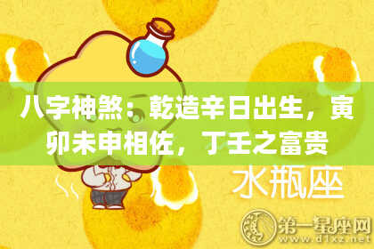 八字神煞：乾造辛日出生，寅卯未申相佐，丁壬之富贵