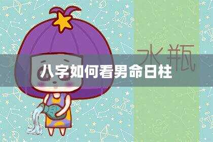 八字如何看男命日柱