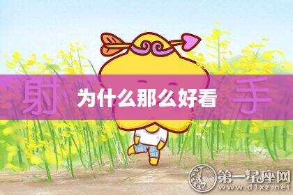 为什么那么好看