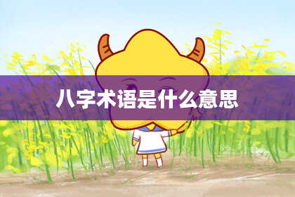 八字术语是什么意思