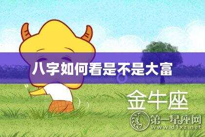 八字如何看是不是大富