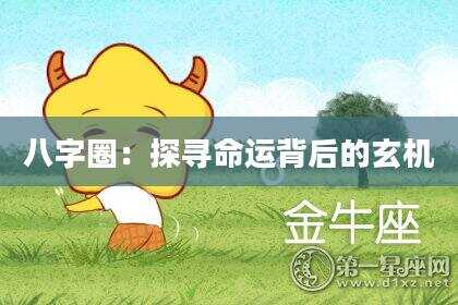 八字圈：探寻命运背后的玄机