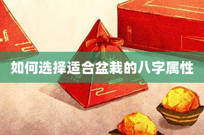 如何选择适合盆栽的八字属性