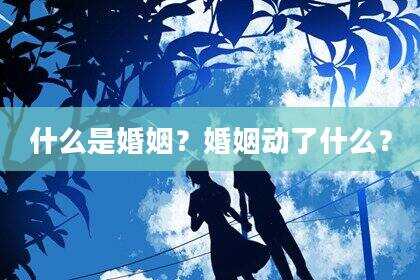 什么是婚姻？婚姻动了什么？