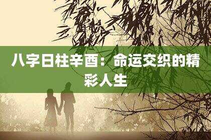 八字日柱辛酉：命运交织的精彩人生