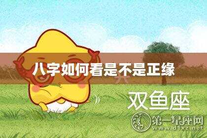 八字如何看是不是正缘