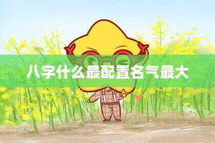 八字什么最配置名气最大