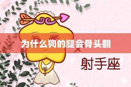 为什么狗的腿会骨头翻