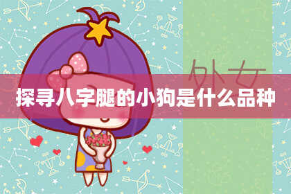探寻八字腿的小狗是什么品种