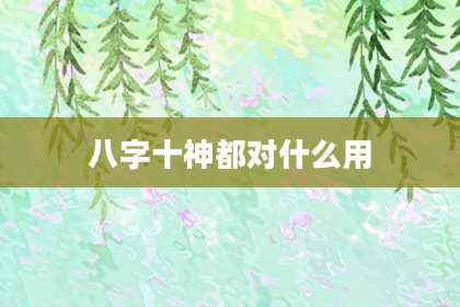 八字十神都对什么用