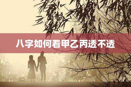 八字如何看甲乙丙透不透
