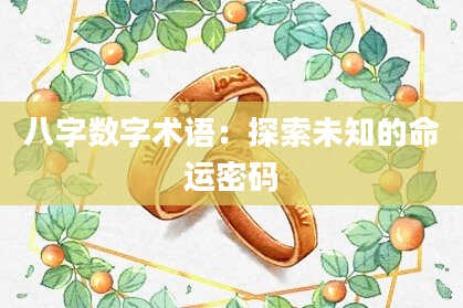 八字数字术语：探索未知的命运密码