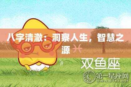 八字清澈：洞察人生，智慧之源