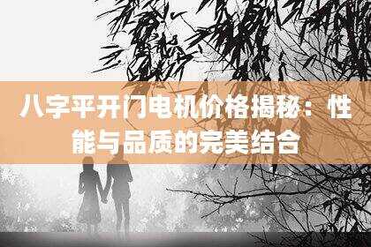 八字平开门电机价格揭秘：性能与品质的完美结合