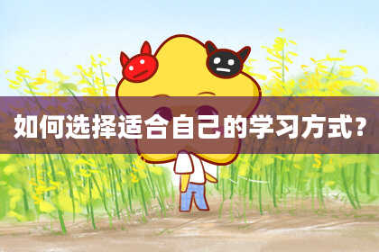 如何选择适合自己的学习方式？