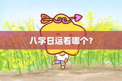 八字日运看哪个？